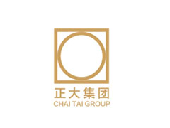 正大集团